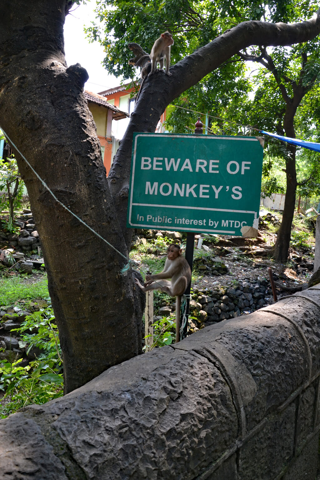 Mumbai Elephanta Island