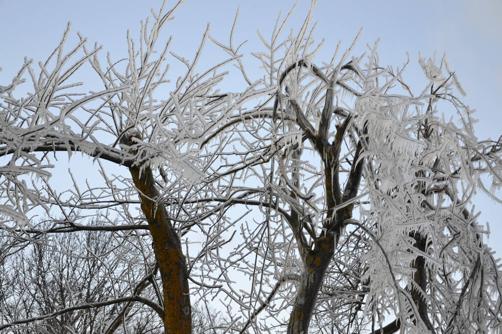 Estland im Winter
