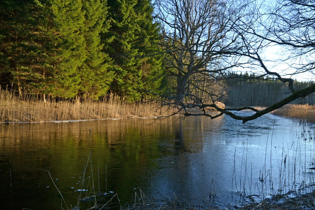 Soomaa NP Estland