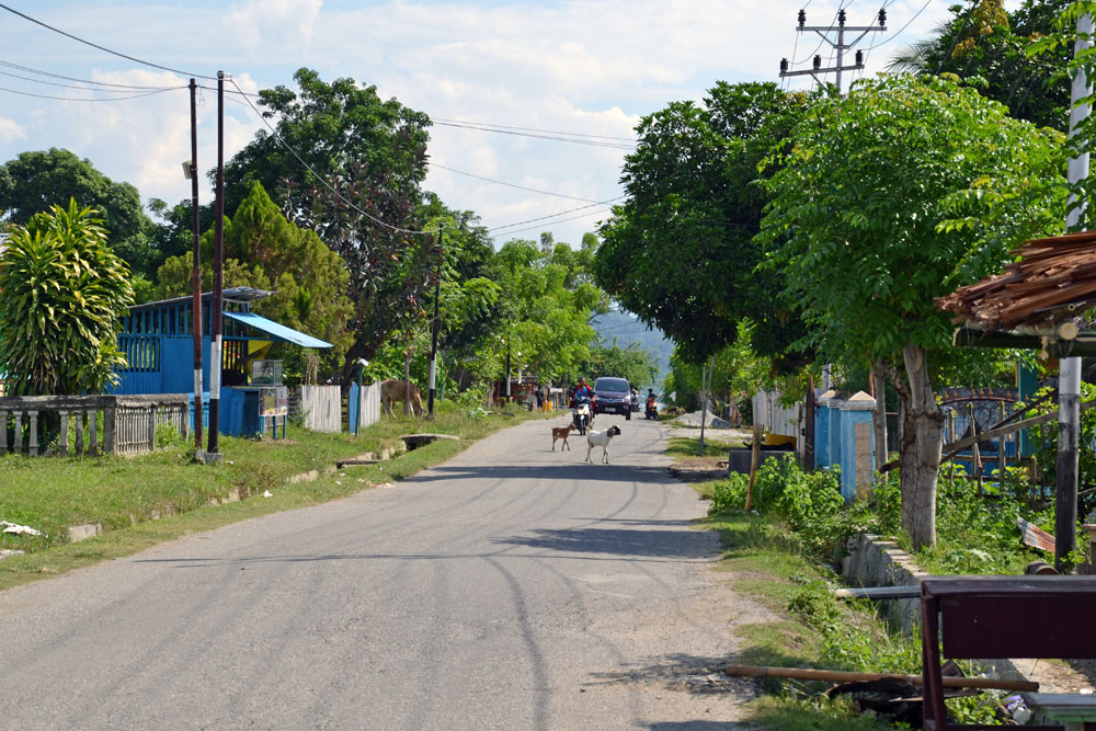 Straße von Poso