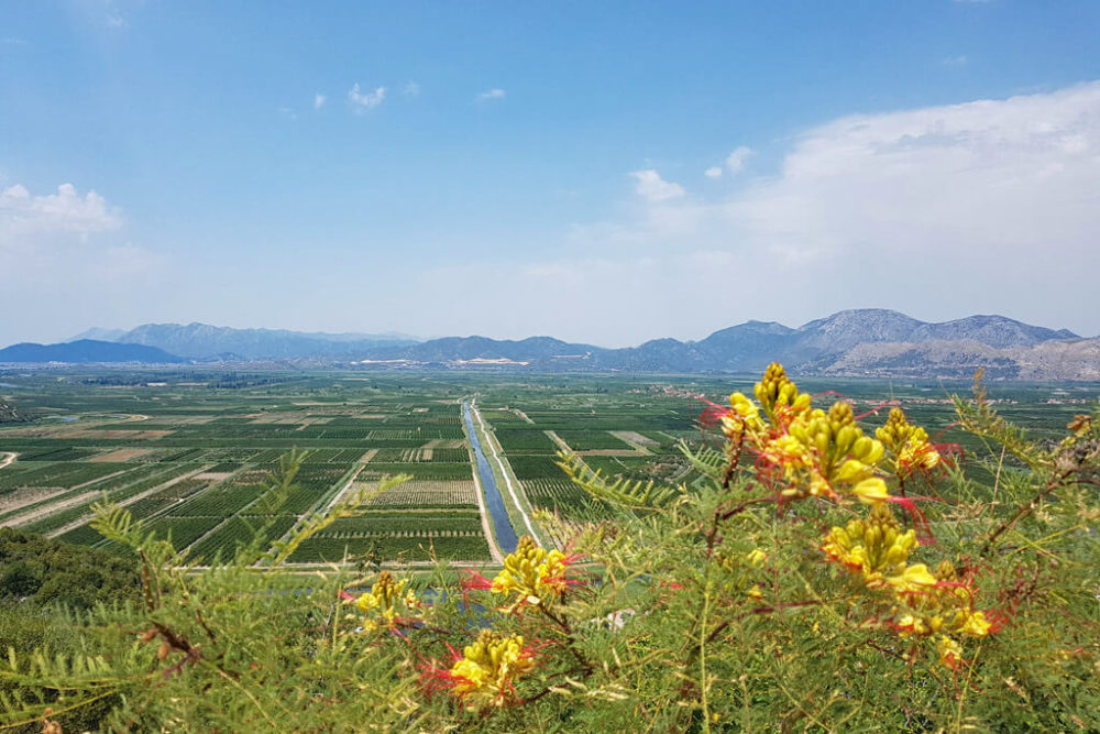 Neretva Delta Kroatien